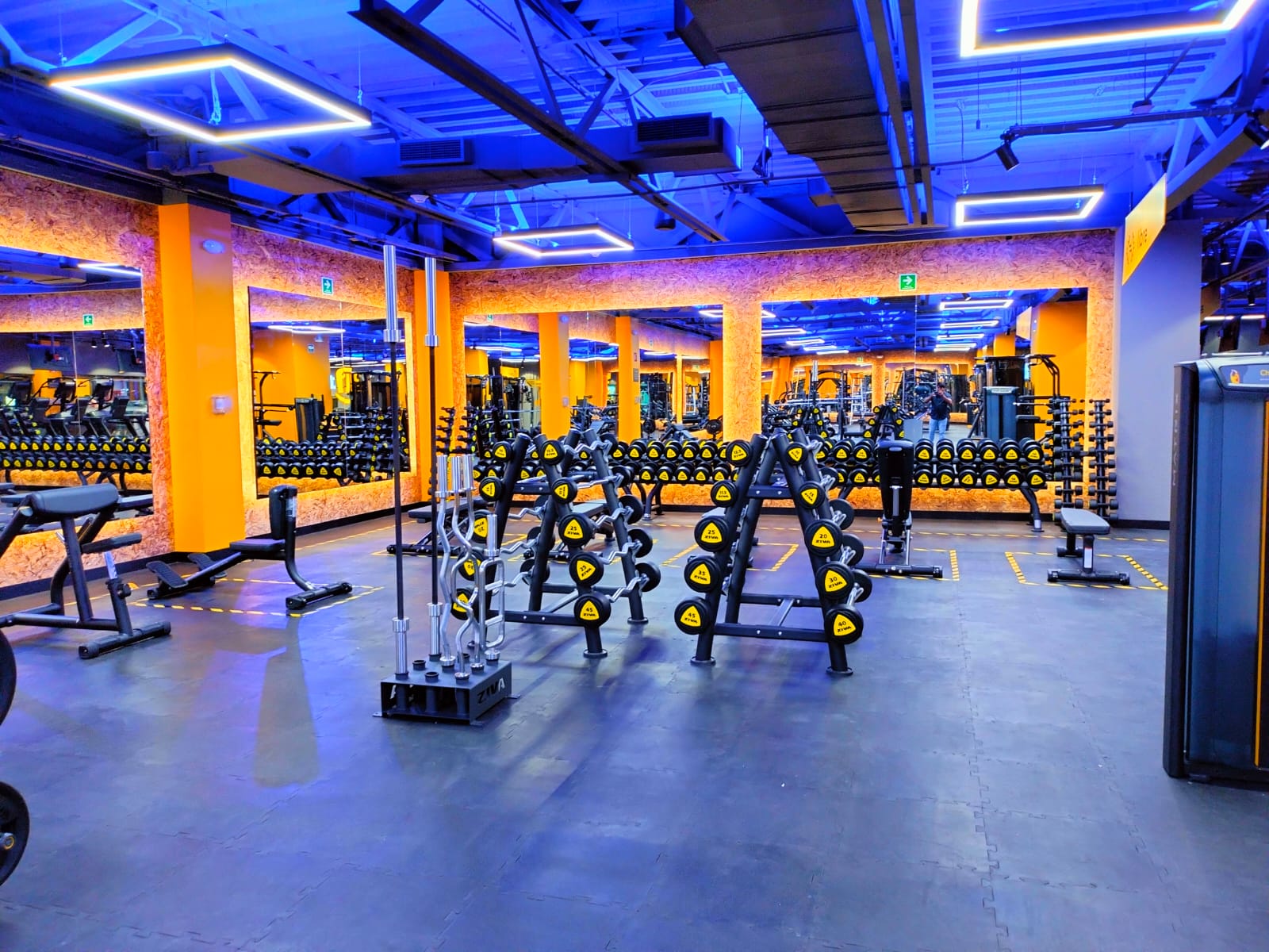 Smart Fit – Pesas